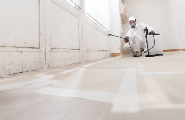 24/7 Emergency Mold Removal experts in Plainview, TX